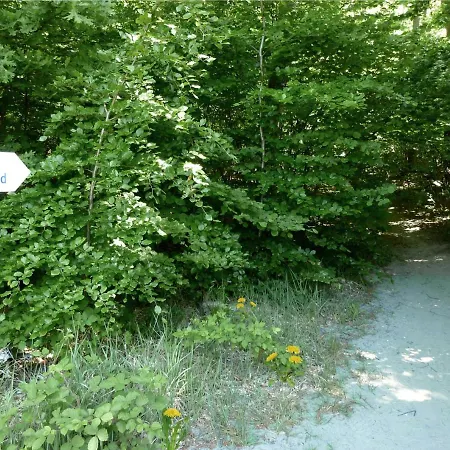 Meerurlaub 625 Seepark Mit Balkon * Sellin (Rugen)