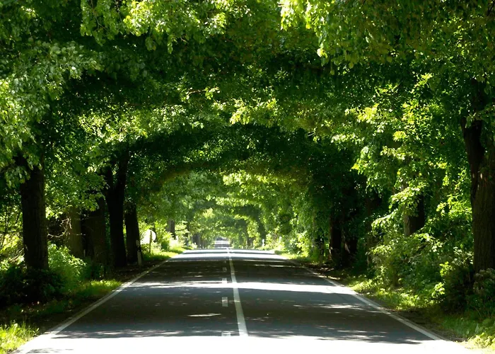 Meerurlaub 625 Seepark Mit Balkon Appartement